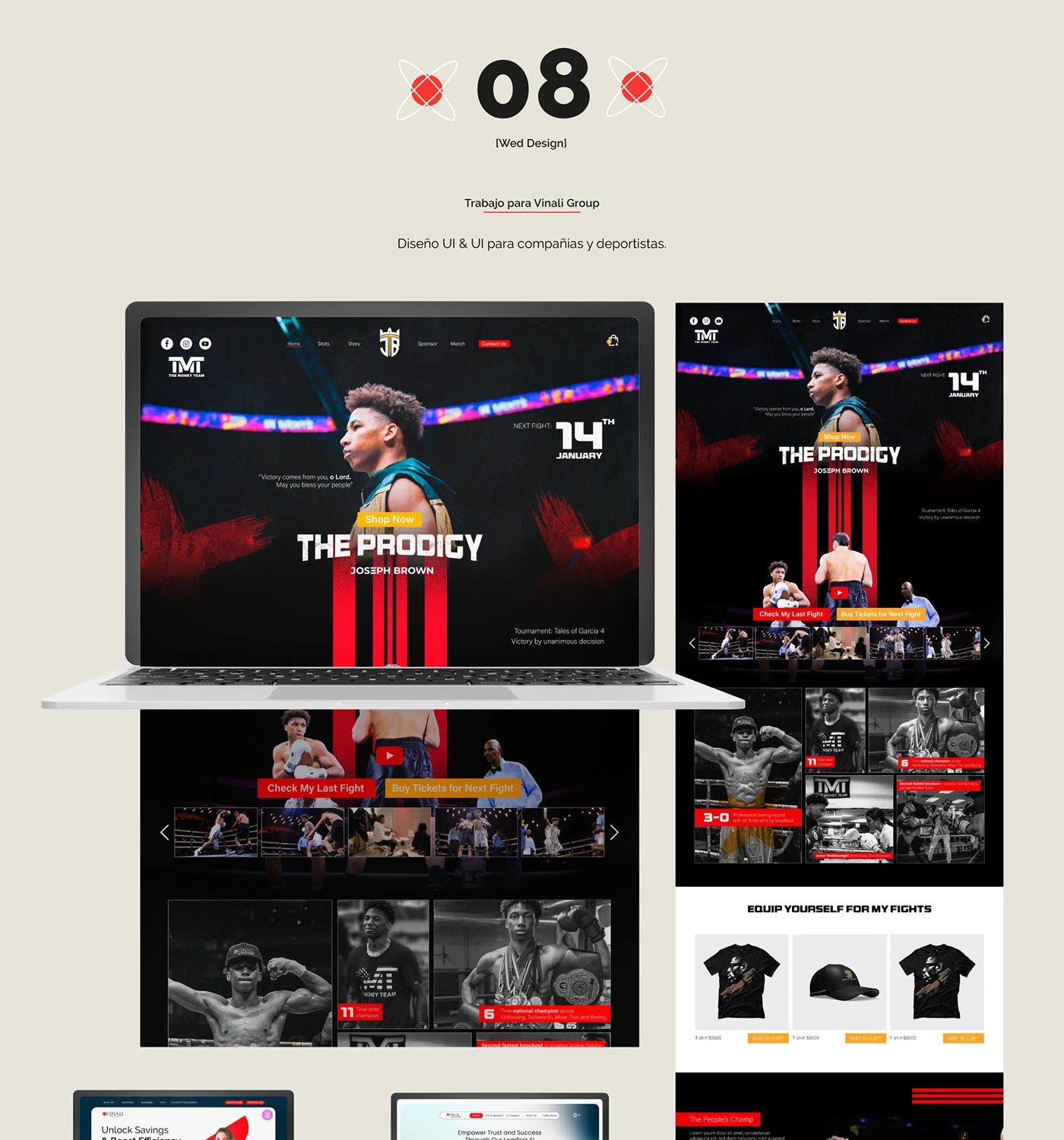 Diseño web para Vinali Group